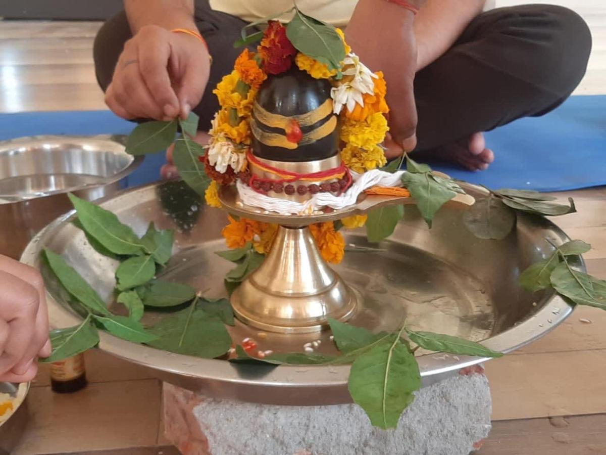 Hotel Vishla Palace By Uttarakhand Hotel Hospitality Narendra Nagar Eksteriør bilde